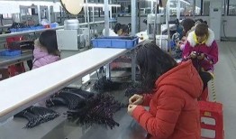 国内电子厂爆料视频最新,生产线内幕大曝光！